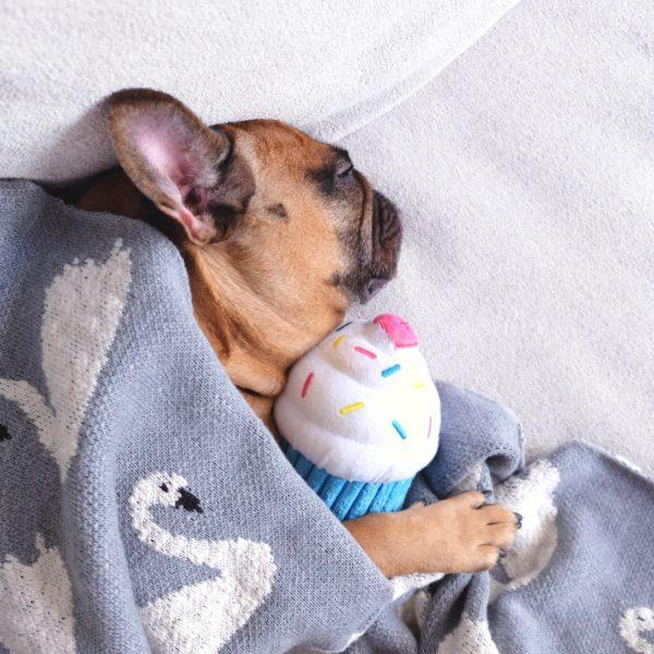 ZippyPaws Cupcake - Blue - Image 2