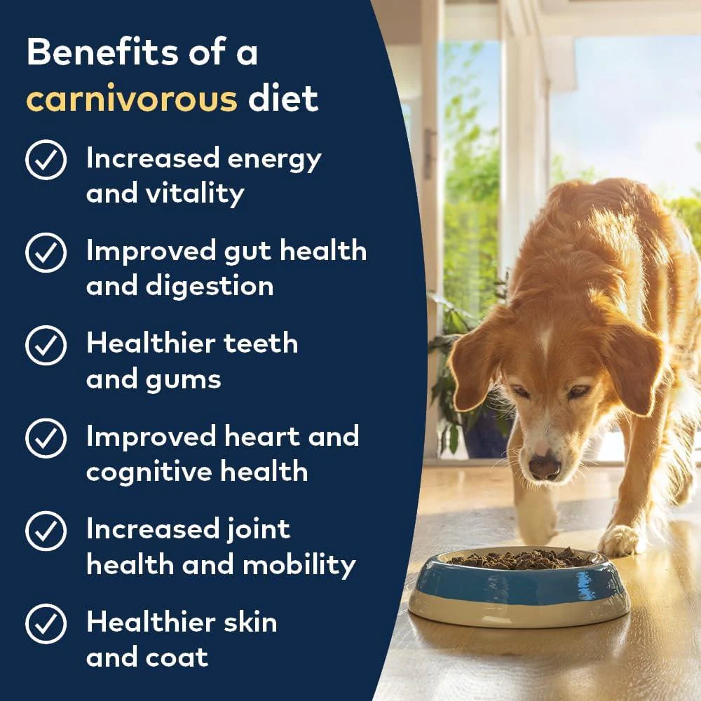 ZiwiPeak Air-Dried Mackerel & Lamb Dog Food - Image 5