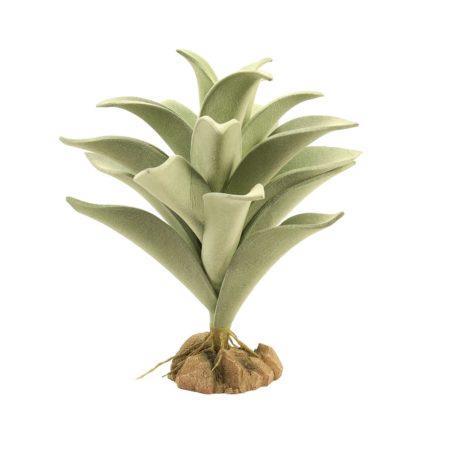 Zoo Med Desert Flora - Silver Mullein - Image 2