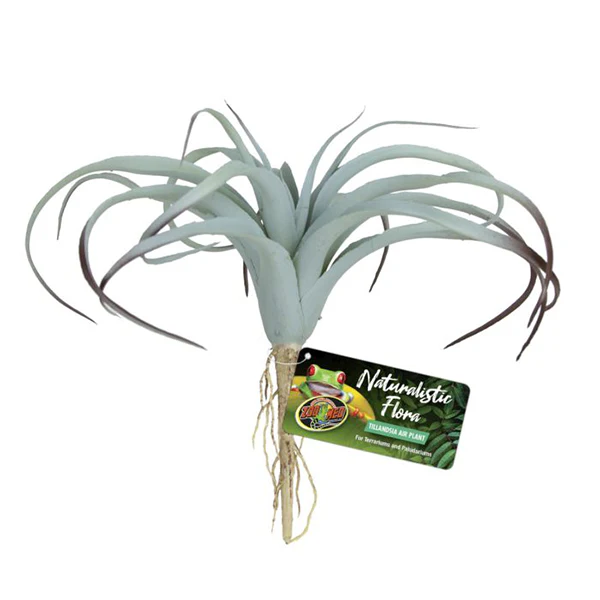 Zoo Med Naturalistic Flora - Tillandsia Air Plant